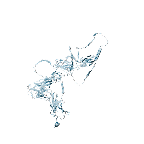 Human G-CSFR (C-Fc, HEK293)